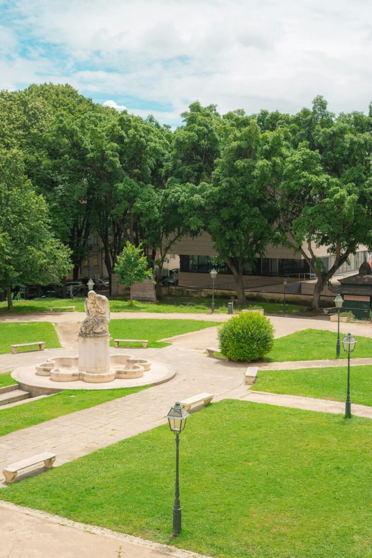 a statue in a park